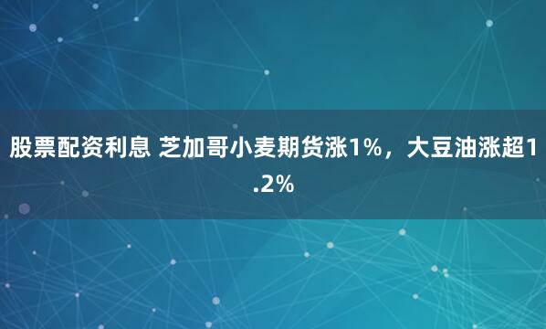 股票配资利息 芝加哥小麦期货涨1%，大豆油涨超1.2%