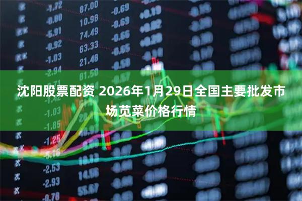 沈阳股票配资 2026年1月29日全国主要批发市场苋菜价格行情