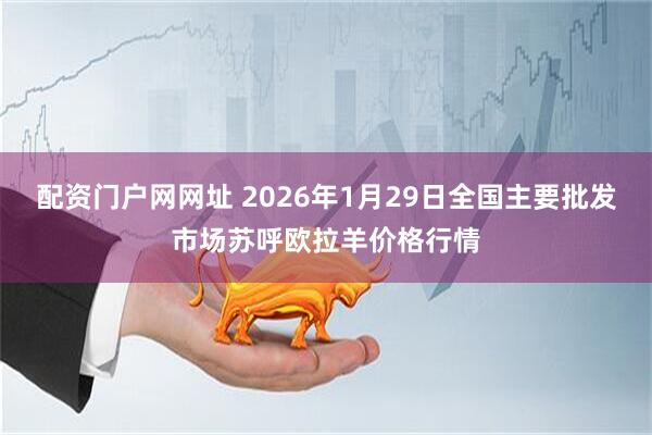 配资门户网网址 2026年1月29日全国主要批发市场苏呼欧拉羊价格行情